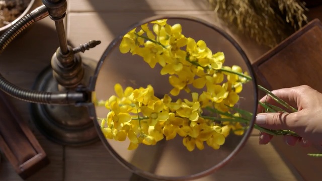 Video Reference: Yellow, Food, Flower, Plant, Cuisine, Dish, Person