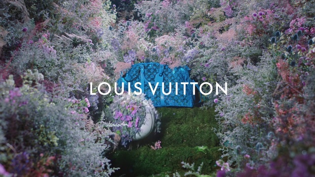 Video Reference: Vegetation, Flower, Tree, Lilac, Plant, Shrub, Organism, Plant community, Spring, Font