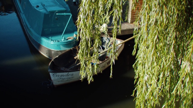 Video Reference: Green, Luxury vehicle, Tree, Water, Plant, Grass family, Vehicle, Grass, Photography