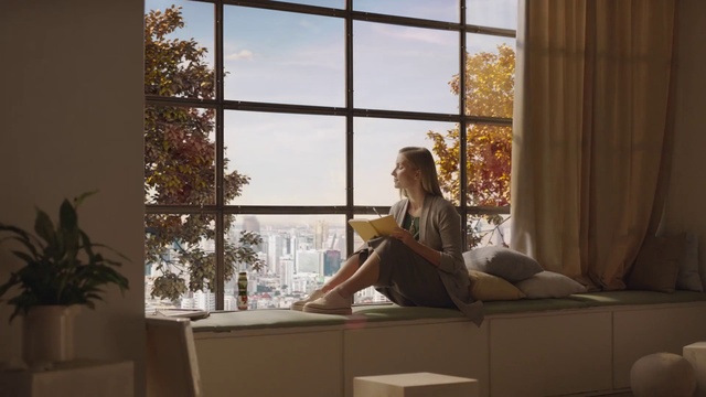 Video Reference: Window, Room, Furniture, Interior design, Window covering, Couch, Window treatment, Living room, Architecture, Sunlight