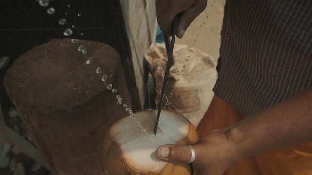 Video Reference: Hand, Dairy