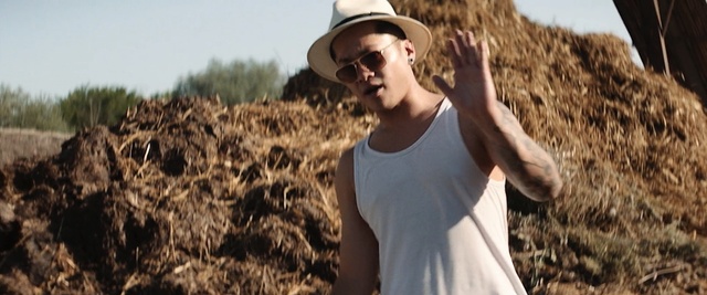 Video Reference: grass family, girl, grass, straw, commodity, harvest, field