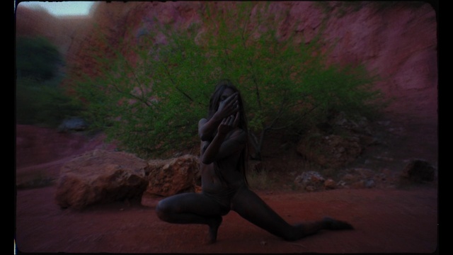 Video Reference: Nature, Photograph, Photography, Human, Organism, Cg artwork, Darkness, Fun, Screenshot, Tree