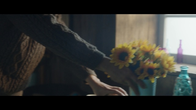 Video Reference: Flower, Yellow, Plant, Floral design, Sunflower, Sky, Floristry, Flower Arranging, Still life photography, Photography