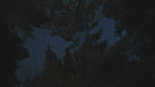 Video Reference: Black, Darkness, Sky, Blue, Atmosphere, Night, Space, Midnight, Astronomical object, Star