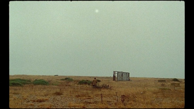 Video Reference: ecosystem, sky, ecoregion, steppe, prairie, plain, savanna, grassland, horizon, landscape