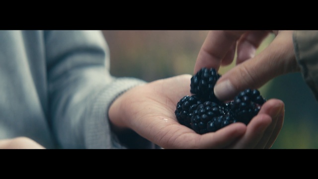 Video Reference: Blackberry, Black, Berry, Finger, Hand, Fruit, Nail, Plant, Photography, Thumb