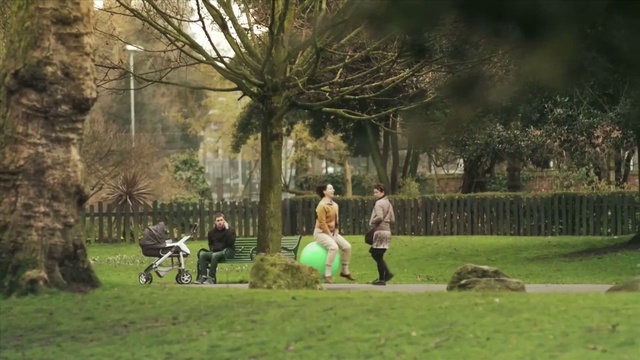 Video Reference: Lawn, Grass, Tree, Spring, Park, Grass, Fun, Adaptation, Plant, Recreation