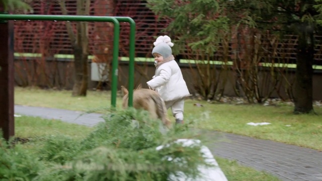 Video Reference: Grass, Lawn, Tree, Leisure, Fun, Leg, Sitting, Garden, Yard, Shrub