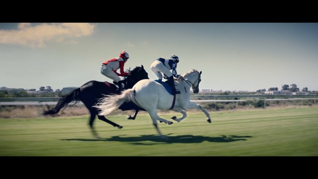 Video Reference: Horse, Bridle, Animal sports, Rein, Jockey, Polo, Equestrian sport, Sports, Saddle, Equestrianism