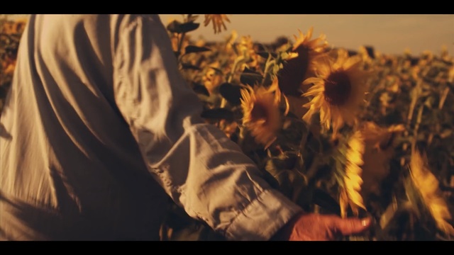 Video Reference: Organism, Adaptation, Photography, Cg artwork, Art