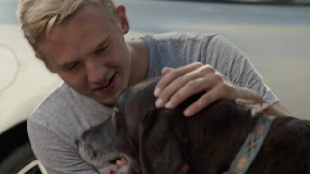 Video Reference: Neapolitan mastiff, Weimaraner, Canidae, Dog, Ear, Sporting Group, Child, Wrinkle, Guard dog, Dog breed