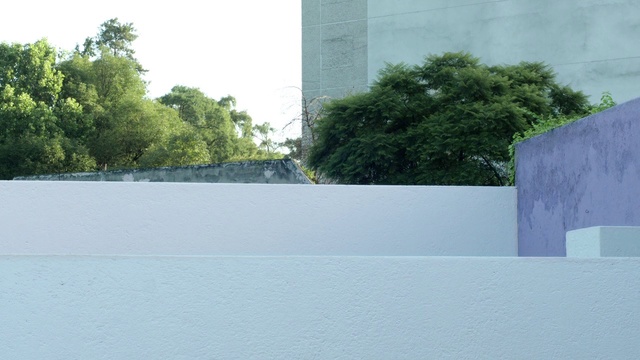 Video Reference: Wall, Architecture, Line, Tree, Concrete, Sport venue, Reinforced concrete, Memorial