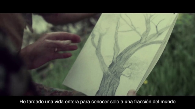 Video Reference: Leaf, Drawing, Portrait, Art, Tree, Illustration, Painting, Adaptation, Hand, Visual arts
