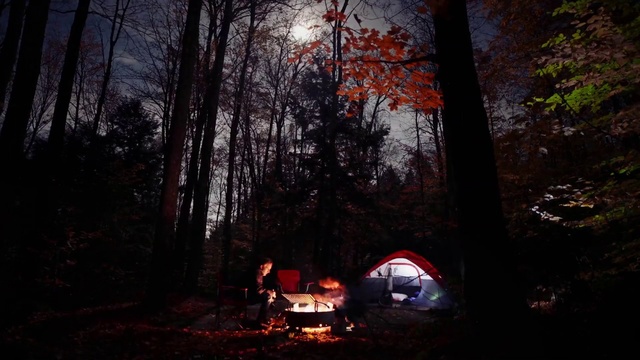 Video Reference: Nature, Natural environment, Forest, Red, Tree, Sky, Woodland, Light, Leaf, Campfire
