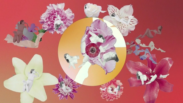 Video Reference: flower, pink, flora, flower arranging, floristry, petal, floral design, art, flowering plant, cut flowers