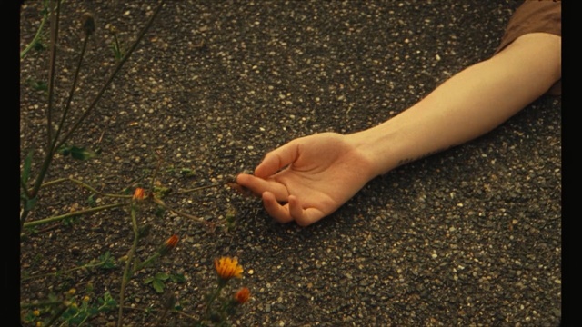 Video Reference: hand, finger, foot, leg, toe, grass, leaf, girl, arm, barefoot