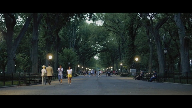 Video Reference: tree, nature, green, sky, urban area, woody plant, lane, plant, road, night, Person