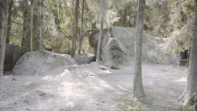 Video Reference: Rock, Tree, Geology, Bedrock, Formation, State park, Outcrop, Forest, Geological phenomenon, Terrain