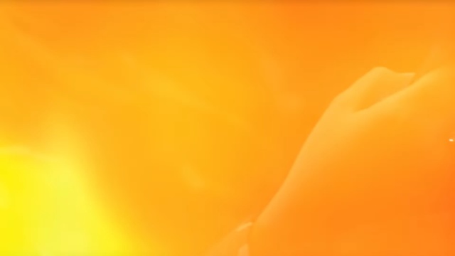 Video Reference: yellow, orange, close up, sky, macro photography, sunlight, computer wallpaper, orange, peach