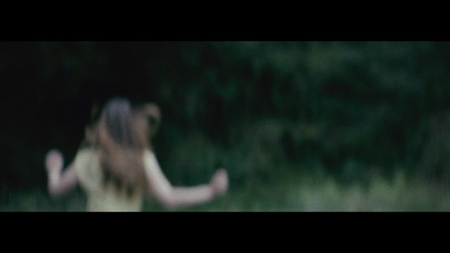 Video Reference: Nature, Black, Darkness, Photography, Portrait, Fun, Wildlife, Scene, Night, Flash photography