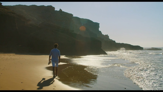 Video Reference: Wave, Coast, Shore, Water, Beach, Sea, Ocean, Wind wave, Atmospheric phenomenon, Tide, Person