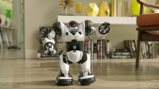 Video Reference: Robot, Toy, Machine, Figurine, Technology, Mecha, Action figure, Animation, Animal figure, Art, Person