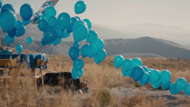 Video Reference: Blue, Turquoise, Balloon, Sky, Plant, Formation