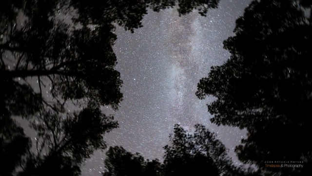 Video Reference: sky, nature, black, atmosphere, black and white, tree, darkness, photography, water, night, Person