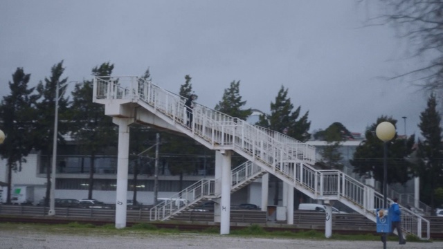 Video Reference: Architecture, Bridge, Tree, Overpass, Nonbuilding structure
