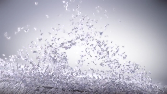 Video Reference: sky, water, atmosphere, frost, freezing, sunlight, winter, ice, computer wallpaper, flock