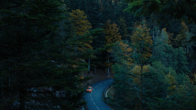 Video Reference: Nature, Tree, Green, Road, Natural landscape, Forest, Natural environment, Biome, Woody plant, Leaf