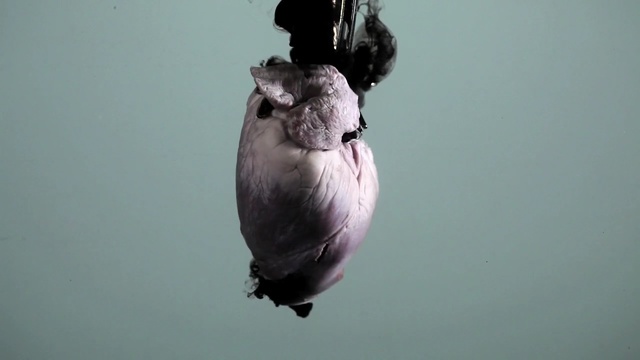 Video Reference: purple, water