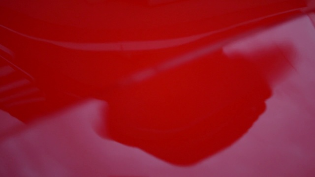 Video Reference: Red, Pink, Orange, Macro photography, Close-up, Maroon, Carmine, Peach, Magenta, Material property