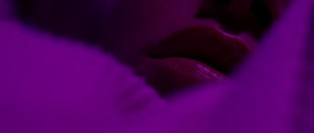 Video Reference: red, blue, violet, purple, black, pink, magenta, macro photography, beauty, petal