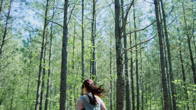 Video Reference: Tree, People in nature, Forest, Natural environment, Nature, Photograph, Woodland, Green, Old-growth forest, Nature reserve