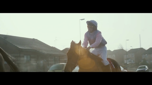 Video Reference: horse, mammal, vertebrate, horse like mammal, mane, screenshot, sunlight, sky, fun, stallion