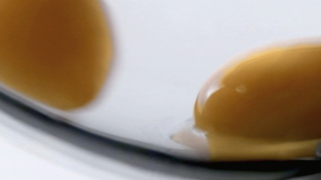 Video Reference: Food, Close-up, Caramel, Egg yolk, Cuisine, Ingredient, Caramel color, Dish, Flan, Egg white