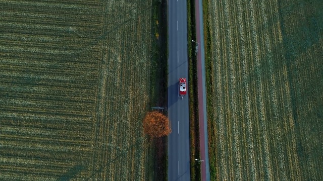 Video Reference: Green, Wood, Line, Wood stain, Tree, Door, Plant