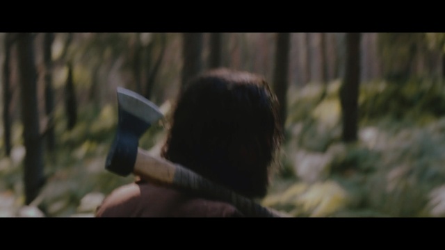 Video Reference: Forest, Photography, Tree, Screenshot, Woodland, Plant, Person