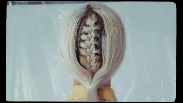 Video Reference: Hair, Hairstyle, Long hair, French braid, Organism, Plant, Human anatomy, Jaw, Person