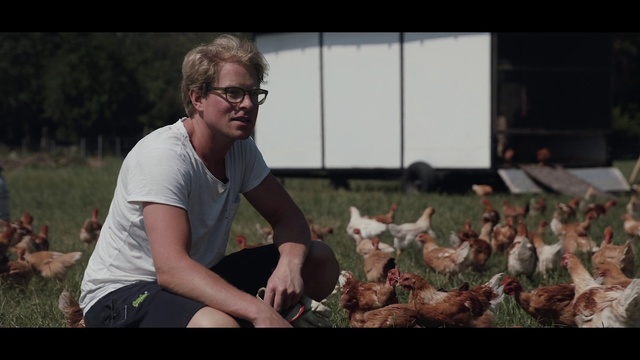 Video Reference: People, Eyewear, Fun, Human, Arm, Leaf, Adaptation, Photography, Sitting, Grass