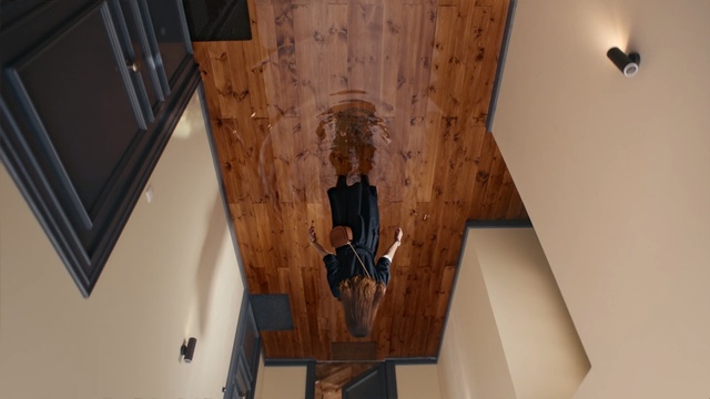 Video Reference: ceiling, wall, wood, lighting, light fixture, wood stain, flooring, floor, hardwood, Person