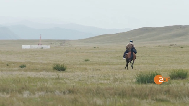 Video Reference: Grassland, Steppe, Ecoregion, Natural environment, Horse, Endurance riding, Trail riding, Prairie, Plain, Competitive trail riding