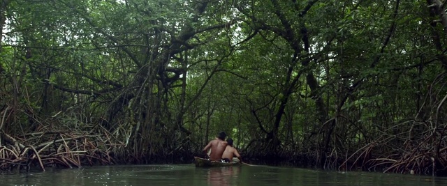 Video Reference: Nature, Natural environment, Jungle, Bayou, Nature reserve, Vegetation, Forest, Swamp, Natural landscape, Bank