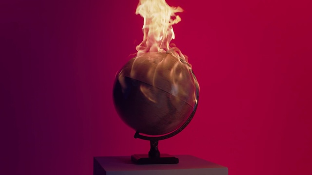 Video Reference: Human body, Still life photography, Magenta, Photography, Illustration, Art, Person