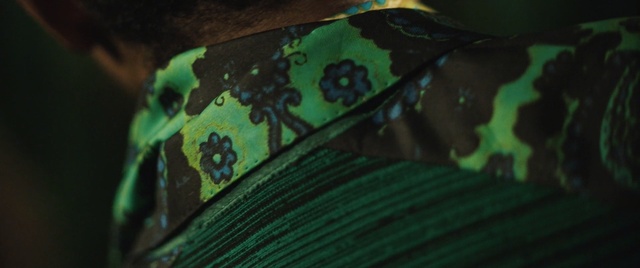 Video Reference: Green, Leaf, Close-up, Photography, Plant, Illustration, Art