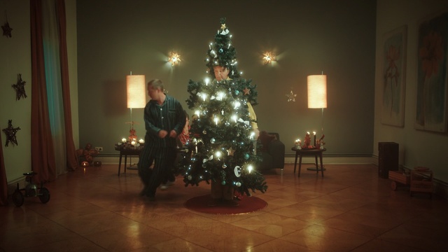 Video Reference: Christmas tree, Christmas, Tree, Christmas decoration, Christmas ornament, Light, Lighting, Snapshot, Christmas lights, Tradition