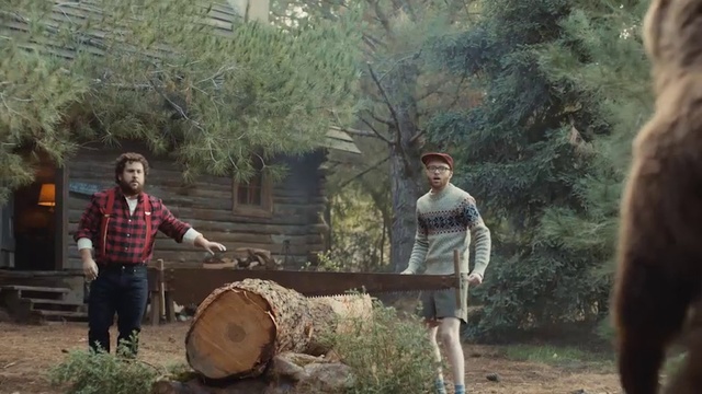 Video Reference: Tree, Woodland, Tree stump, Trunk, Wood, Forest, Logging, Adaptation, Plant, Woodsman