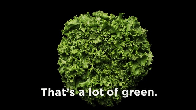 Video Reference: leaf vegetable, leaf, produce, vegetable, kale, herb, organism, lettuce, rapini, spring greens